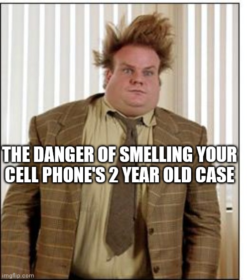 Cell phones and cases...they stink! | THE DANGER OF SMELLING YOUR CELL PHONE'S 2 YEAR OLD CASE | image tagged in chris farley hair,cell phone | made w/ Imgflip meme maker