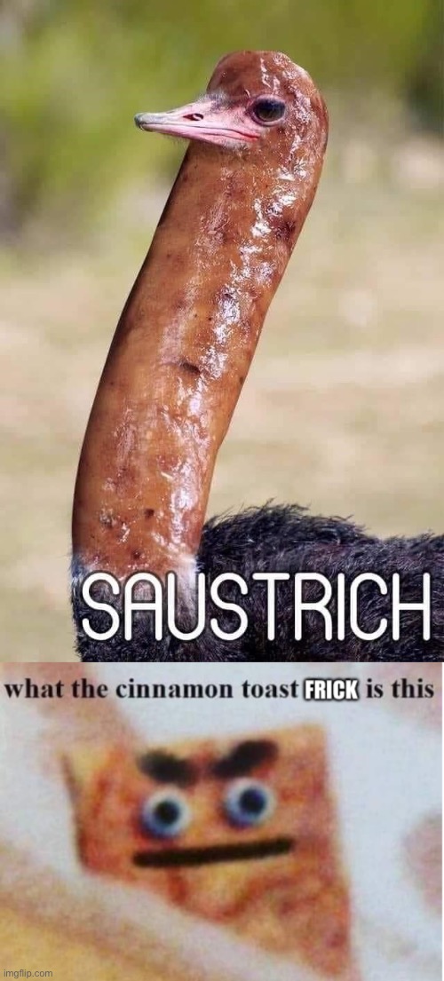 Our special today is: | image tagged in what the cinnamon toast clean,ostrich,memes,funny | made w/ Imgflip meme maker