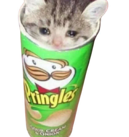 pringels cat Blank Template - Imgflip