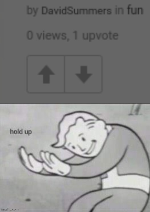 Hold up! | image tagged in fallout hold up | made w/ Imgflip meme maker