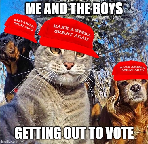 Can't win if ya don't play | ME AND THE BOYS; GETTING OUT TO VOTE | image tagged in fun,politics,2020,election 2020 | made w/ Imgflip meme maker