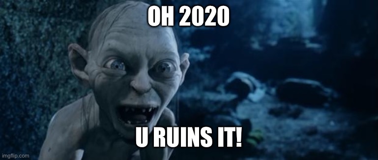 You Ruins It!!! |  OH 2020; U RUINS IT! | image tagged in you ruins it | made w/ Imgflip meme maker