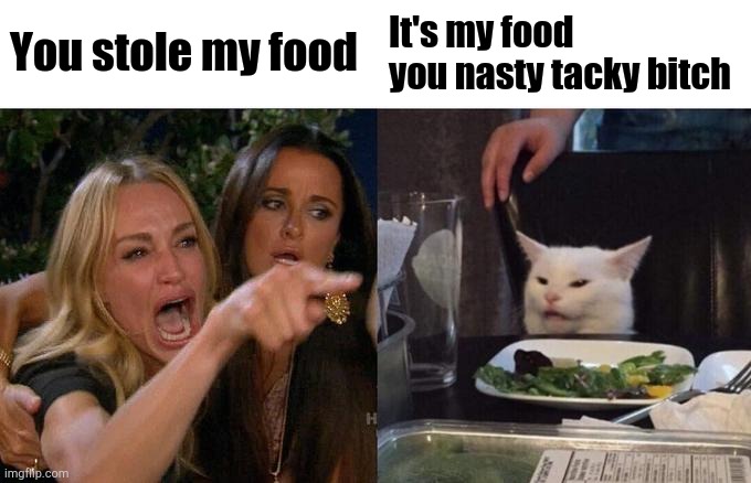 Woman Yelling At Cat | You stole my food; It's my food you nasty tacky bitch | image tagged in memes,woman yelling at cat | made w/ Imgflip meme maker