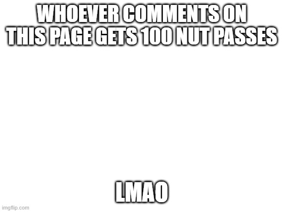 Blank White Template | WHOEVER COMMENTS ON THIS PAGE GETS 100 NUT PASSES; LMAO | image tagged in blank white template | made w/ Imgflip meme maker
