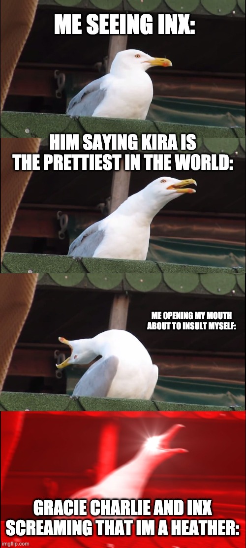 Inhaling Seagull | ME SEEING INX:; HIM SAYING KIRA IS THE PRETTIEST IN THE WORLD:; ME OPENING MY MOUTH ABOUT TO INSULT MYSELF:; GRACIE CHARLIE AND INX SCREAMING THAT IM A HEATHER: | image tagged in memes,inhaling seagull | made w/ Imgflip meme maker