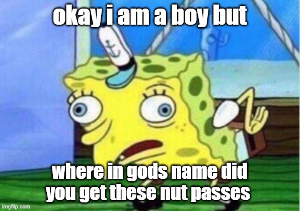 how in the holy f did you get these | okay i am a boy but; where in gods name did you get these nut passes | image tagged in memes,mocking spongebob | made w/ Imgflip meme maker