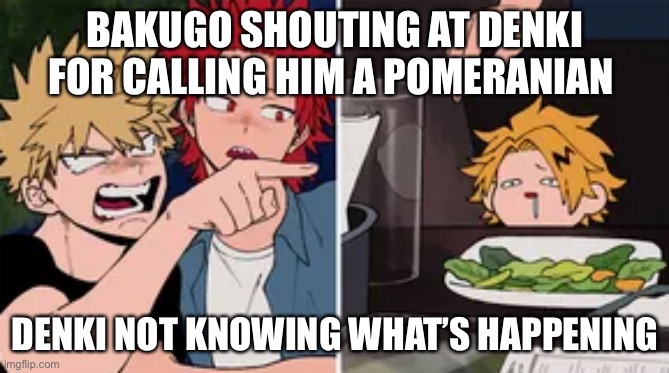 Bakugo being Bakugo | BAKUGO SHOUTING AT DENKI FOR CALLING HIM A POMERANIAN; DENKI NOT KNOWING WHAT’S HAPPENING | image tagged in bakugo yelling at denki | made w/ Imgflip meme maker
