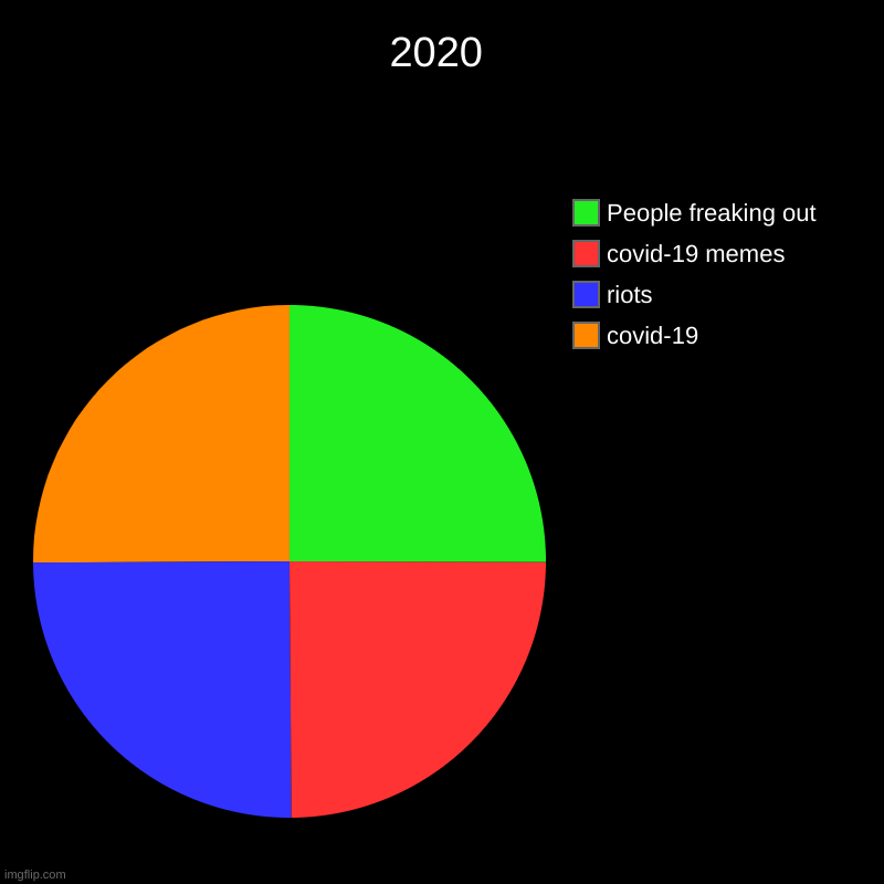 2020 in a chart | 2020 | covid-19, riots, covid-19 memes, People freaking out | image tagged in charts,pie charts | made w/ Imgflip chart maker