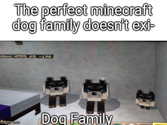 The perfect dog family doesn't exi- | The perfect minecraft dog family doesn't exi-; Dog Family | image tagged in blank white template | made w/ Imgflip meme maker