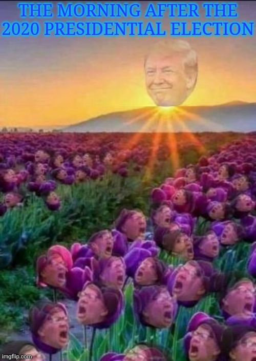 The Morning After The 2020 Presidential Election | image tagged in god emperor trump,defeat,old pervert,creepy joe biden,liberal tears,sweet victory | made w/ Imgflip meme maker