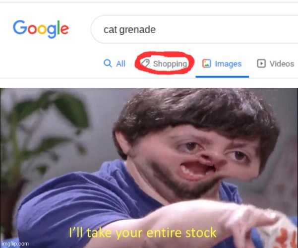 Heck yes | image tagged in i'll take your entire stock,cat,grenade,cat grenade | made w/ Imgflip meme maker