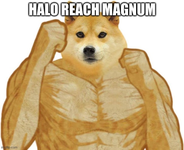 Buff Doge | HALO REACH MAGNUM | image tagged in buff doge | made w/ Imgflip meme maker