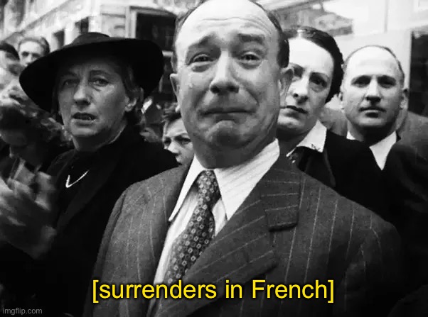 [surrenders in French] | image tagged in french,surrender,defeat | made w/ Imgflip meme maker