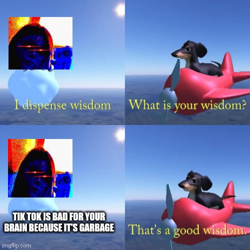 That's a good wisdom | TIK TOK IS BAD FOR YOUR BRAIN BECAUSE IT'S GARBAGE | image tagged in that's a good wisdom | made w/ Imgflip meme maker