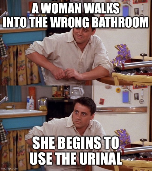 Joey meme | A WOMAN WALKS INTO THE WRONG BATHROOM; SHE BEGINS TO USE THE URINAL | image tagged in joey meme | made w/ Imgflip meme maker