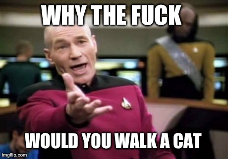 Picard Wtf Meme | WHY THE F**K
 WOULD YOU WALK A CAT | image tagged in memes,picard wtf | made w/ Imgflip meme maker
