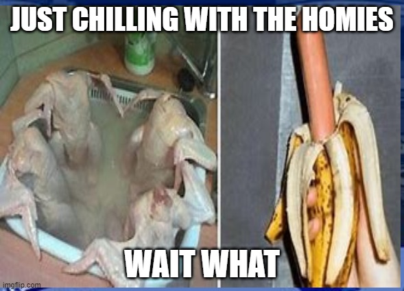 lol | JUST CHILLING WITH THE HOMIES; WAIT WHAT | image tagged in lol | made w/ Imgflip meme maker