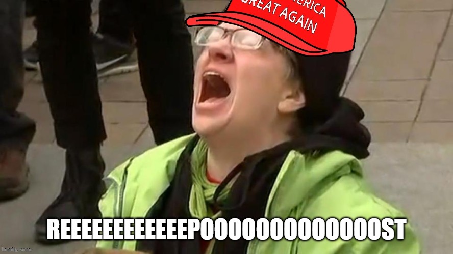 [Election Day 2020 repost police incoming] | REEEEEEEEEEEEPOOOOOOOOOOOOOST | image tagged in maga sky screamer | made w/ Imgflip meme maker