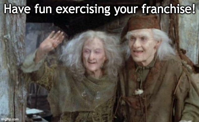 Hey, Voters! | Have fun exercising your franchise! | image tagged in princess bride,vote | made w/ Imgflip meme maker