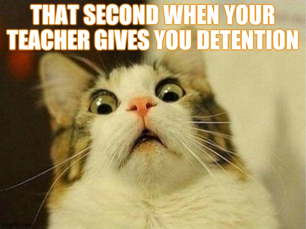 Scared Cat Meme | THAT SECOND WHEN YOUR TEACHER GIVES YOU DETENTION | image tagged in memes,scared cat | made w/ Imgflip meme maker