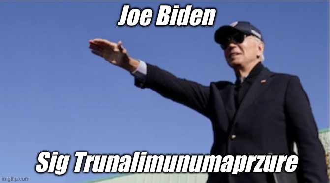 Uh Joe, JOE! Stop that. Joe! | Joe Biden; Sig Trunalimunumaprzure | image tagged in nazi salute,biden,biden nazi | made w/ Imgflip meme maker