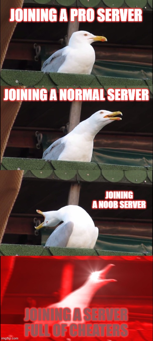 Inhaling Seagull | JOINING A PRO SERVER; JOINING A NORMAL SERVER; JOINING A NOOB SERVER; JOINING A SERVER FULL OF CHEATERS | image tagged in memes,inhaling seagull | made w/ Imgflip meme maker