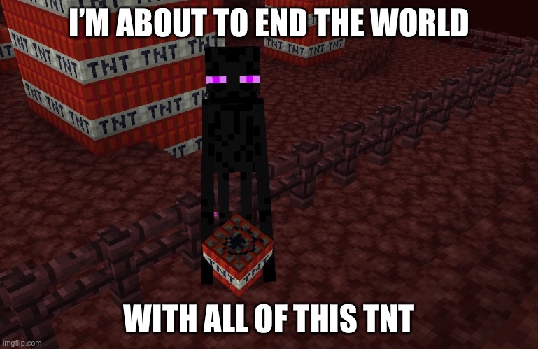 Demolition Enderman | I’M ABOUT TO END THE WORLD; WITH ALL OF THIS TNT | image tagged in demolition enderman | made w/ Imgflip meme maker