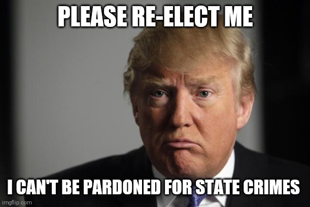 trump sad | PLEASE RE-ELECT ME; I CAN'T BE PARDONED FOR STATE CRIMES | image tagged in trump sad,memes | made w/ Imgflip meme maker