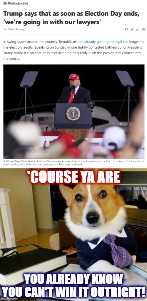 Behold the closest thing to a Trump concession of defeat we're probably ever gonna get. | 'COURSE YA ARE; YOU ALREADY KNOW YOU CAN'T WIN IT OUTRIGHT! | image tagged in lawyer dog,election 2020,2020 elections,lawyers,election,trump is an asshole | made w/ Imgflip meme maker