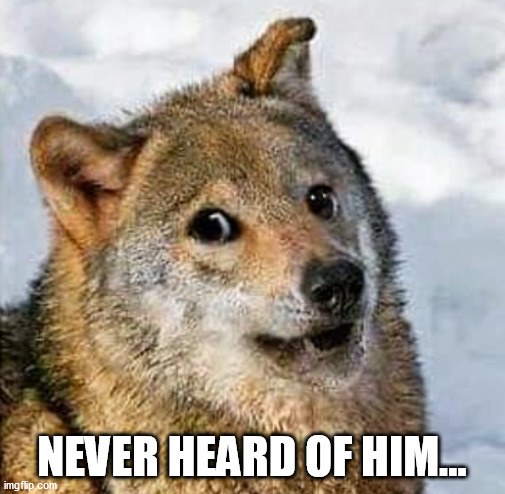 Funny yellow dog? Never heard of him | NEVER HEARD OF HIM... | image tagged in funny yellow dog never heard of him | made w/ Imgflip meme maker