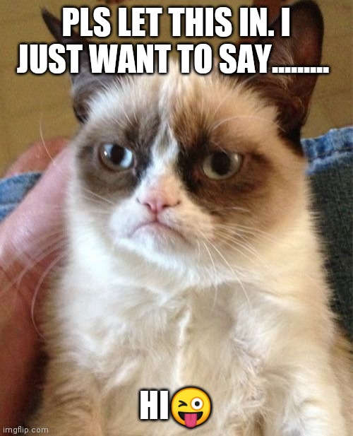 Grumpy Cat Meme | PLS LET THIS IN. I JUST WANT TO SAY......... HI😜 | image tagged in memes,grumpy cat | made w/ Imgflip meme maker