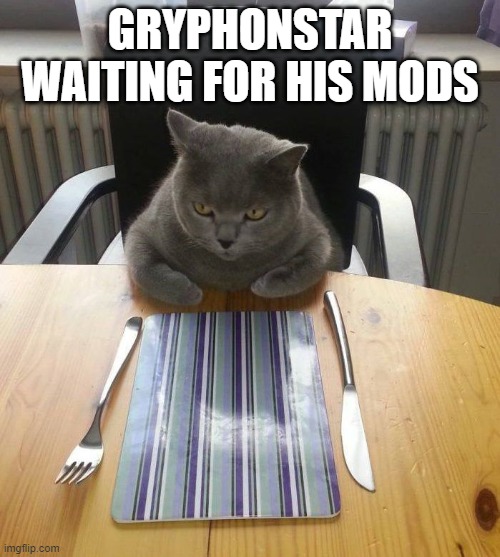 hungry cat | GRYPHONSTAR WAITING FOR HIS MODS | image tagged in hungry cat | made w/ Imgflip meme maker