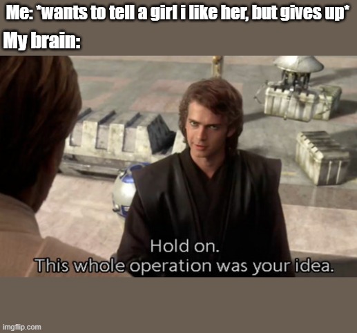 Hold on this whole operation was your idea | Me: *wants to tell a girl i like her, but gives up*; My brain: | image tagged in hold on this whole operation was your idea | made w/ Imgflip meme maker