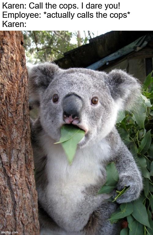 Surprised Koala | Karen: Call the cops. I dare you!
Employee: *actually calls the cops*
Karen: | image tagged in memes,surprised koala | made w/ Imgflip meme maker