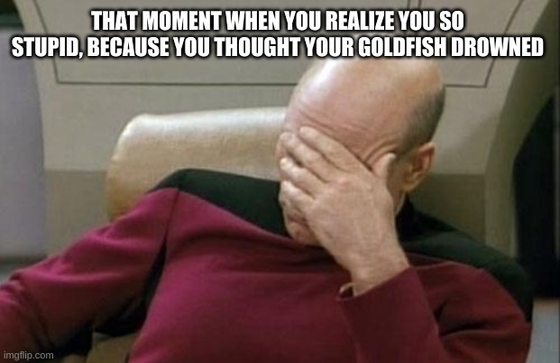 Captain Picard Facepalm Meme | THAT MOMENT WHEN YOU REALIZE YOU SO STUPID, BECAUSE YOU THOUGHT YOUR GOLDFISH DROWNED | image tagged in memes,captain picard facepalm | made w/ Imgflip meme maker