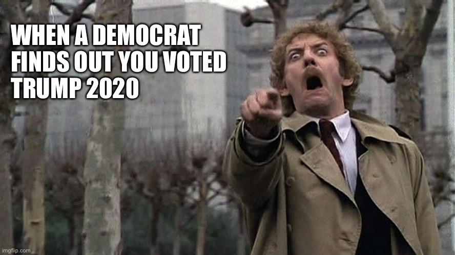 2020 Election | WHEN A DEMOCRAT
FINDS OUT YOU VOTED
TRUMP 2020 | image tagged in donald trump,joe biden,election 2020 | made w/ Imgflip meme maker