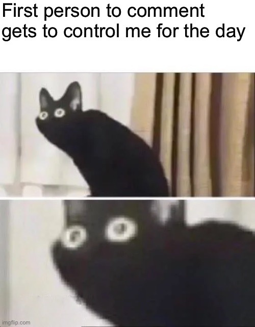 I’m bored | First person to comment gets to control me for the day | image tagged in oh no black cat | made w/ Imgflip meme maker