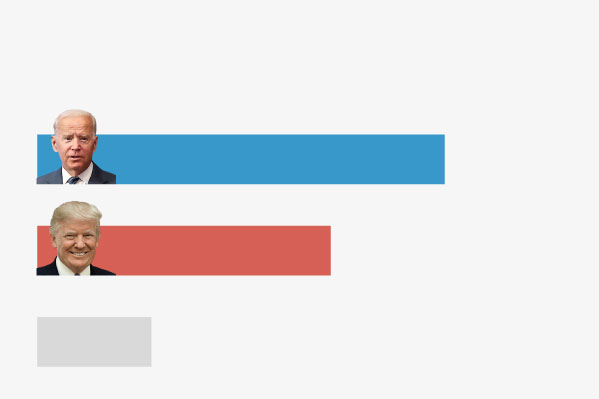 High Quality 2020 polling Blank Meme Template