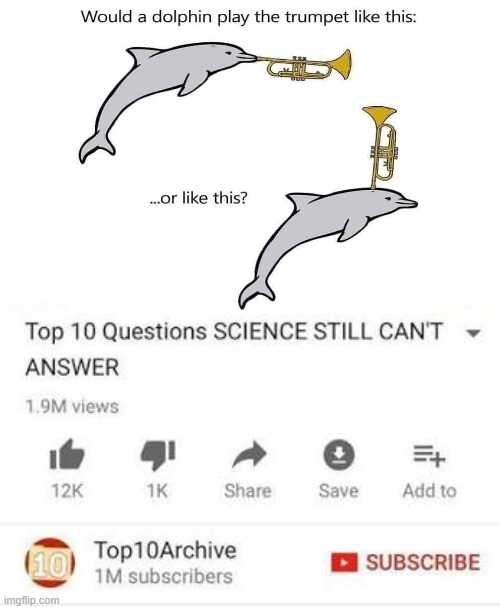 Top 10 Questions Science Still Can't Answer | image tagged in dolphin | made w/ Imgflip meme maker