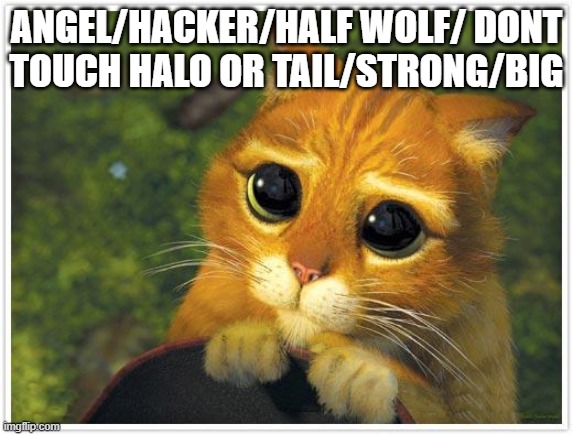 Shrek Cat Meme | ANGEL/HACKER/HALF WOLF/ DONT TOUCH HALO OR TAIL/STRONG/BIG | image tagged in memes,shrek cat | made w/ Imgflip meme maker