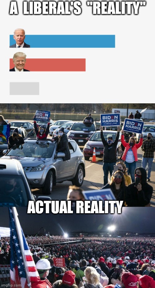 A Liberal's "Reality" | A  LIBERAL'S  "REALITY"; ACTUAL REALITY | image tagged in 2020 polling | made w/ Imgflip meme maker
