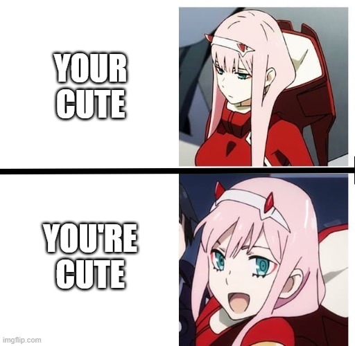 *you're | YOUR CUTE; YOU'RE CUTE | image tagged in zero two meme | made w/ Imgflip meme maker