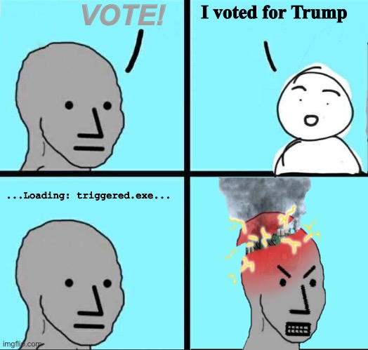 Stood in line for 2 hours and 16 minutes to vote for (((Orange Man Bad))) | VOTE! I voted for Trump; ...Loading: triggered.exe... | image tagged in npc meme,presidential race,election 2020,donald trump,trump 2020 | made w/ Imgflip meme maker