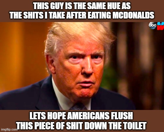 Mr. Orange | THIS GUY IS THE SAME HUE AS THE SHITS I TAKE AFTER EATING MCDONALDS; LETS HOPE AMERICANS FLUSH THIS PIECE OF SHIT DOWN THE TOILET | image tagged in donald trump | made w/ Imgflip meme maker