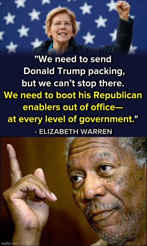 All of them gotta go or nothing will get done. Vote straight ticket blue. | image tagged in this morgan freeman,election 2020,2020 elections,elizabeth warren,democratic party,democrats | made w/ Imgflip meme maker