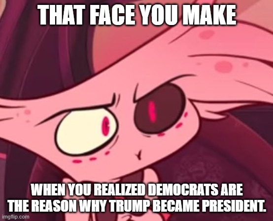 What | THAT FACE YOU MAKE; WHEN YOU REALIZED DEMOCRATS ARE THE REASON WHY TRUMP BECAME PRESIDENT. | image tagged in what | made w/ Imgflip meme maker