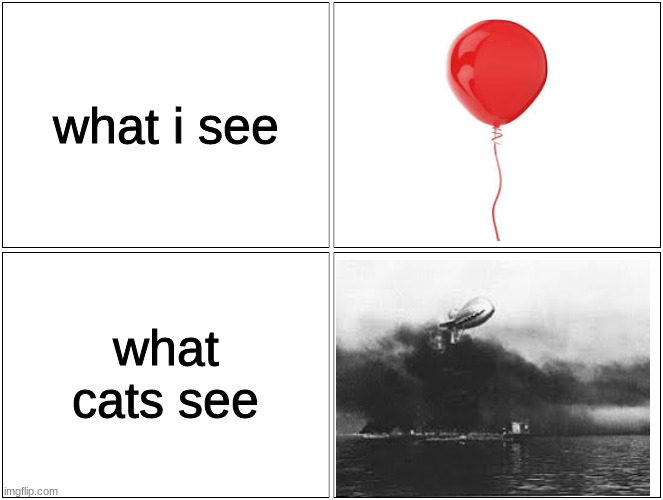 Blank Comic Panel 2x2 Meme | what i see; what cats see | image tagged in memes,blank comic panel 2x2 | made w/ Imgflip meme maker