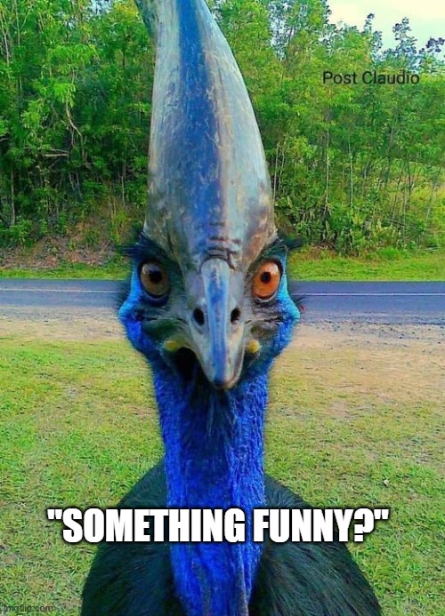 Dino bird | "SOMETHING FUNNY?" | image tagged in funny | made w/ Imgflip meme maker