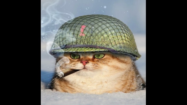 High Quality Army Cat Blank Meme Template