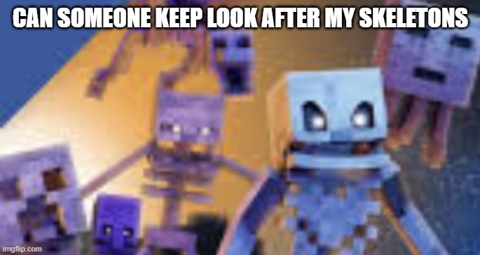 CAN SOMEONE KEEP LOOK AFTER MY SKELETONS | made w/ Imgflip meme maker